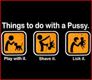 things to do with a pussy