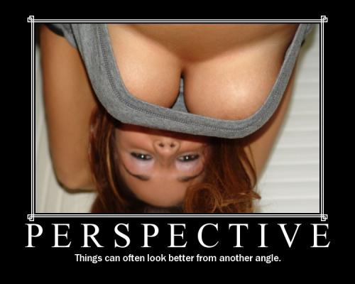 Perspectiva